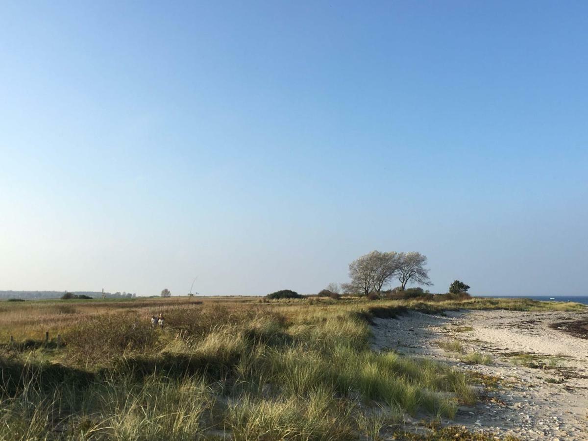 Seesucht-Hohwacht - 110Qm Fewo Mit Toller Lage Am Kiefernweg Buitenkant foto